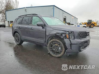 Czwarte zdjęcie samochodu z boku: 2025 KIA TELLURIDE SX VIN:5XYP5DGC6SG732007 - miniatura