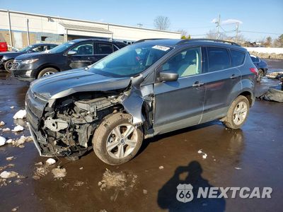 2014 FORD ESCAPE SE 1FMCU9GX1EUE18782 - główne zdjęcie licytacji z USA - miniatura