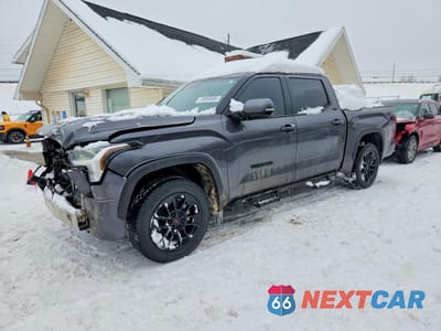 2025 TOYOTA TUNDRA SR5 5TFLA5DB2SX275107 - główne zdjęcie licytacji z USA - miniatura