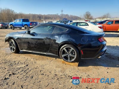 Drugie zdjęcie samochodu z przodu: 2024 FORD MUSTANG VIN:1FA6P8TH5R5105337 - miniatura