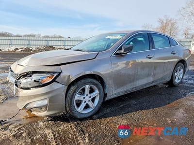 2023 CHEVROLET MALIBU LS 1G1ZB5ST3PF235448 - główne zdjęcie licytacji z USA - miniatura