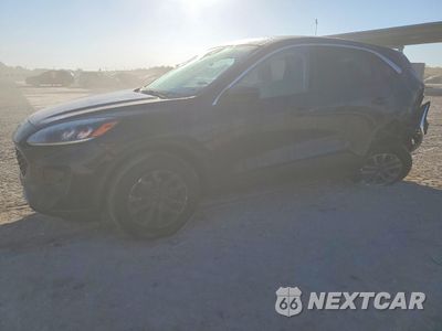 2021 FORD ESCAPE SE 1FMCU9G66MUA97876 - główne zdjęcie licytacji z USA - miniatura