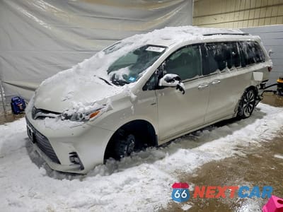 2019 TOYOTA SIENNA XLE 5TDDZ3DC2KS225372 - główne zdjęcie licytacji z USA - miniatura