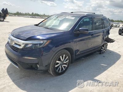 2019 HONDA PILOT EXL 5FNYF6H76KB500304 - główne zdjęcie licytacji z USA - miniatura