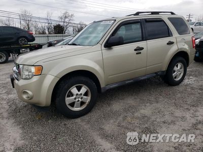 2012 FORD ESCAPE XLT 1FMCU9DG4CKA41054 - główne zdjęcie licytacji z USA - miniatura
