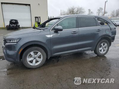 2021 KIA SORENTO LX 5XYRGDLC3MG043179 - główne zdjęcie licytacji z USA - miniatura