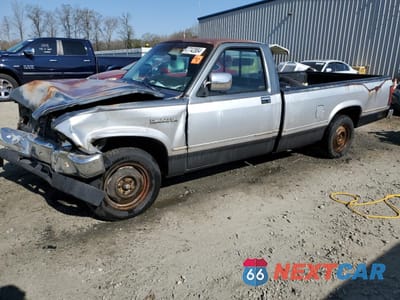 1987 DODGE DAKOTA 1B7GN14M5HS361825 - główne zdjęcie licytacji z USA - miniatura