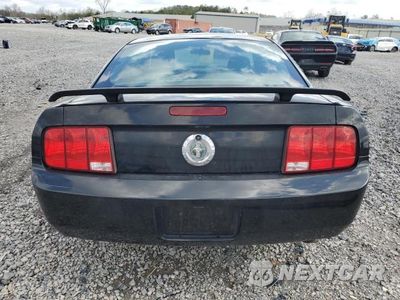 Zdjęcie 6 z 12 samochodu: 2006 FORD MUSTANG VIN:1ZVFT80N065144331 - miniatura