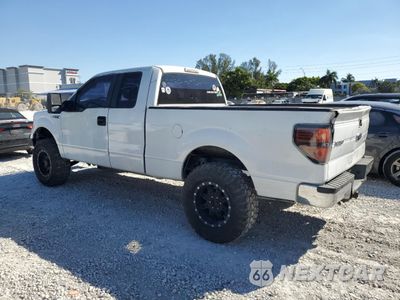 Drugie zdjęcie samochodu z przodu: 2013 FORD F150 SUPER CAB VIN:1FTFX1ET1DKF44287 - miniatura