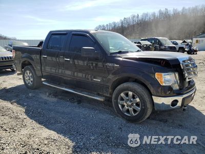 Czwarte zdjęcie samochodu z boku: 2013 FORD F150 SUPERCREW VIN:1FTFW1ET3DFA44191 - miniatura