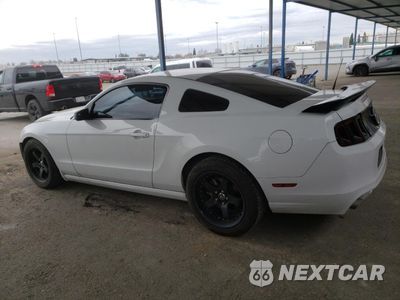 Drugie zdjęcie samochodu z przodu: 2014 FORD MUSTANG VIN:1ZVBP8AM6E5261225 - miniatura