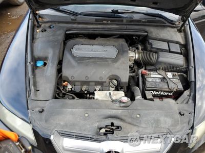 Zdjęcie 11 z 12 samochodu: 2005 ACURA TL VIN:19UUA66235A049058 - miniatura