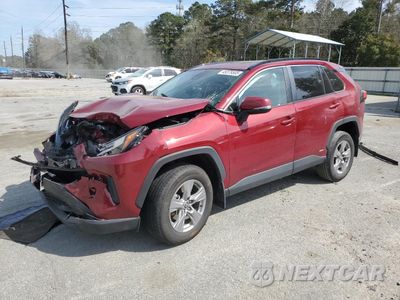 2024 TOYOTA RAV4 XLE 4T3RWRFV2RU127399 - główne zdjęcie licytacji z USA - miniatura