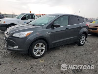 2016 FORD ESCAPE SE 1FMCU0G7XGUB71907 - główne zdjęcie licytacji z USA - miniatura