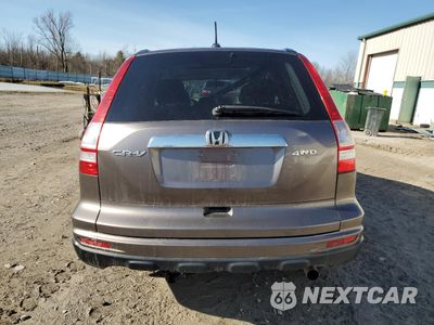 Zdjęcie 6 z 16 samochodu: 2010 HONDA CR-V EXL VIN:5J6RE4H79AL076019 - miniatura