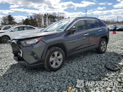 2019 TOYOTA RAV4 XLE JTMW1RFV6KJ005909 - główne zdjęcie licytacji z USA - miniatura