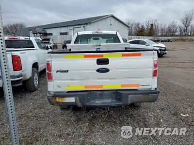 Zdjęcie 6 z 13 samochodu: 2013 FORD F150 VIN:1FTMF1CM1DKG35811 - miniatura