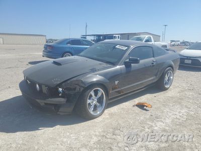 2009 FORD MUSTANG GT 1ZVHT82H395101283 - główne zdjęcie licytacji z USA - miniatura