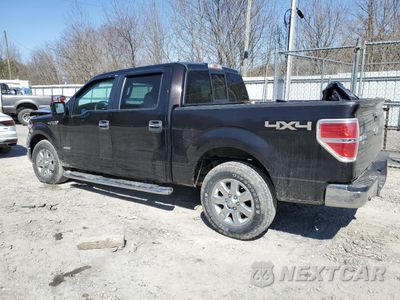 Drugie zdjęcie samochodu z przodu: 2013 FORD F150 SUPERCREW VIN:1FTFW1ET3DFA44191 - miniatura