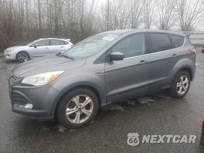 2014 FORD ESCAPE SE 1FMCU0GX8EUC91024 - główne zdjęcie licytacji z USA - miniatura