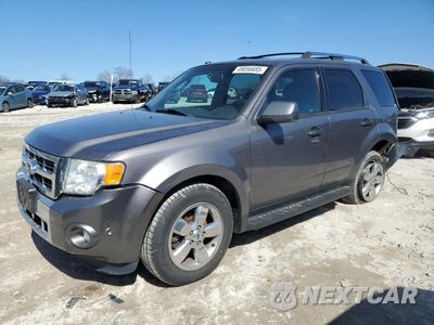 2011 FORD ESCAPE LIMITED 1FMCU9EG4BKB50403 - główne zdjęcie licytacji z USA - miniatura