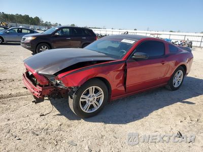 2013 FORD MUSTANG 1ZVBP8AM7D5266190 - główne zdjęcie licytacji z USA - miniatura