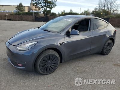 2023 TESLA MODEL Y 7SAYGDEE8PA075695 - główne zdjęcie licytacji z USA - miniatura