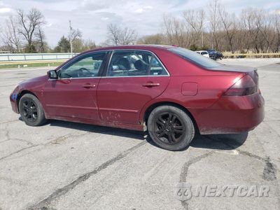 Drugie zdjęcie samochodu z przodu: 2006 HONDA ACCORD EX VIN:1HGCM56846A079446 - miniatura