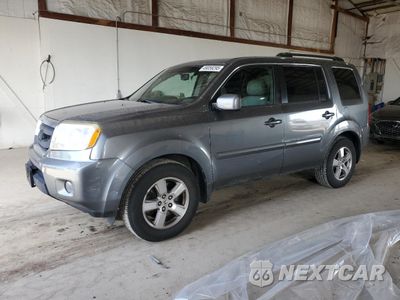 2009 HONDA PILOT EXL 5FNYF48679B043640 - główne zdjęcie licytacji z USA - miniatura
