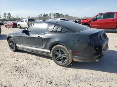 Drugie zdjęcie samochodu z przodu: 2014 FORD MUSTANG VIN:1ZVBP8AM4E5268366 - miniatura
