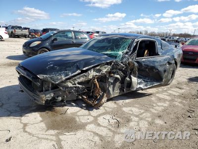 2014 FORD MUSTANG 1ZVBP8AM4E5320093 - główne zdjęcie licytacji z USA - miniatura