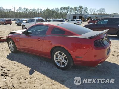 Drugie zdjęcie samochodu z przodu: 2013 FORD MUSTANG VIN:1ZVBP8AM7D5266190 - miniatura