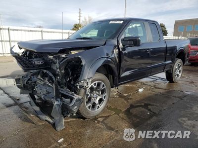 2024 FORD F150 STX 1FTFX2L50RKD99194 - główne zdjęcie licytacji z USA - miniatura