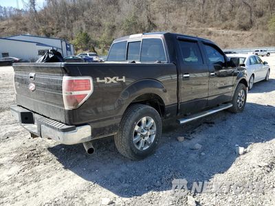 Trzecie zdjęcie samochodu z tyłu: 2013 FORD F150 SUPERCREW VIN:1FTFW1ET3DFA44191 - miniatura