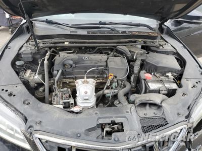 Zdjęcie 11 z 12 samochodu: 2015 ACURA TLX TECH VIN:19UUB1F53FA004312 - miniatura