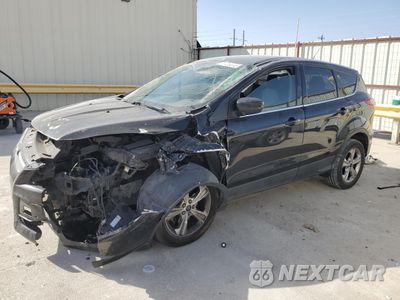 2014 FORD ESCAPE SE 1FMCU0GX4EUB61905 - główne zdjęcie licytacji z USA - miniatura