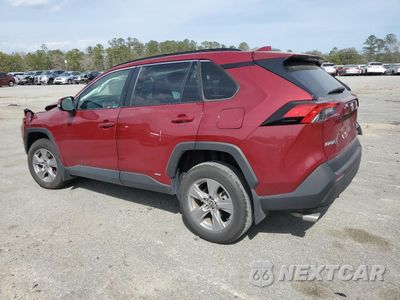 Drugie zdjęcie samochodu z przodu: 2024 TOYOTA RAV4 XLE VIN:4T3RWRFV2RU127399 - miniatura