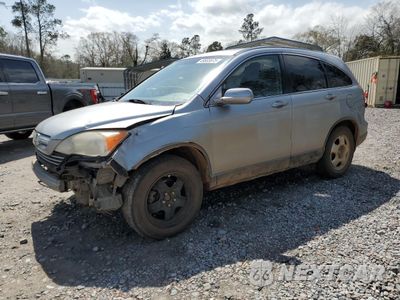 2007 HONDA CR-V EXL JHLRE48707C004093 - główne zdjęcie licytacji z USA - miniatura