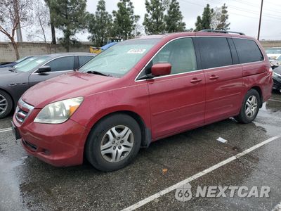 2005 HONDA ODYSSEY EXL 5FNRL38735B076922 - główne zdjęcie licytacji z USA - miniatura