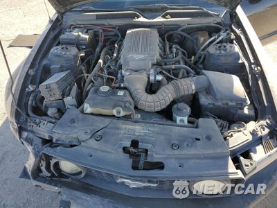 Zdjęcie 13 z 14 samochodu: 2009 FORD MUSTANG GT VIN:1ZVHT82H195143290 - miniatura