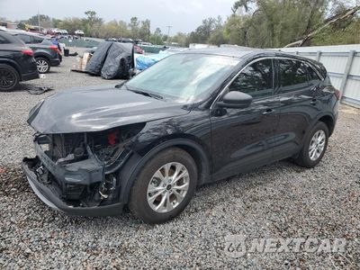 2024 FORD ESCAPE ACTIVE 1FMCU0GN0RUA09365 - główne zdjęcie licytacji z USA - miniatura
