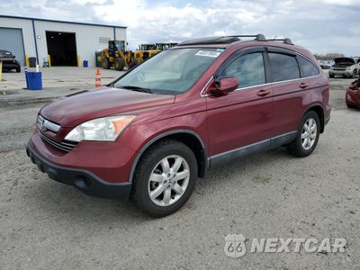 2008 HONDA CR-V EXL 5J6RE48738L019292 - główne zdjęcie licytacji z USA - miniatura
