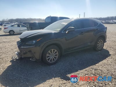 2021 LEXUS NX 300 BASE JTJDARBZ9M5034474 - główne zdjęcie licytacji z USA - miniatura