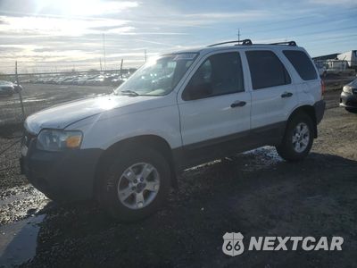 2007 FORD ESCAPE XLT 1FMYU93137KA61840 - główne zdjęcie licytacji z USA - miniatura
