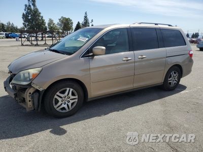 2006 HONDA ODYSSEY EXL 5FNRL38676B435231 - główne zdjęcie licytacji z USA - miniatura