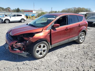 2015 FORD ESCAPE SE 1FMCU0GX2FUC73524 - główne zdjęcie licytacji z USA - miniatura