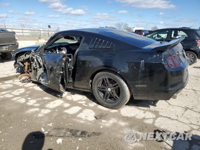 Drugie zdjęcie samochodu z przodu: 2014 FORD MUSTANG VIN:1ZVBP8AM4E5320093 - miniatura