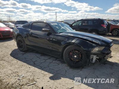 Czwarte zdjęcie samochodu z boku: 2014 FORD MUSTANG VIN:1ZVBP8AM4E5320093 - miniatura