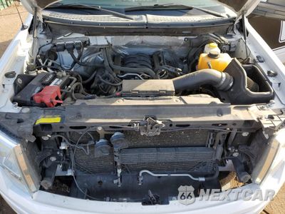 Zdjęcie 11 z 12 samochodu: 2014 FORD F150 SUPERCREW VIN:1FTFW1EF0EKE22793 - miniatura