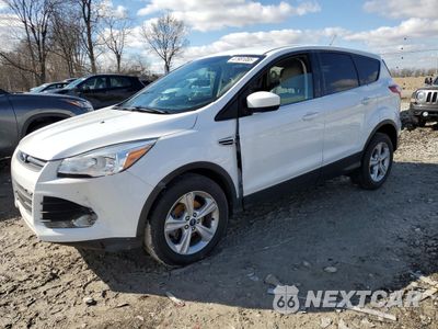 2014 FORD ESCAPE SE 1FMCU0GX6EUA03906 - główne zdjęcie licytacji z USA - miniatura